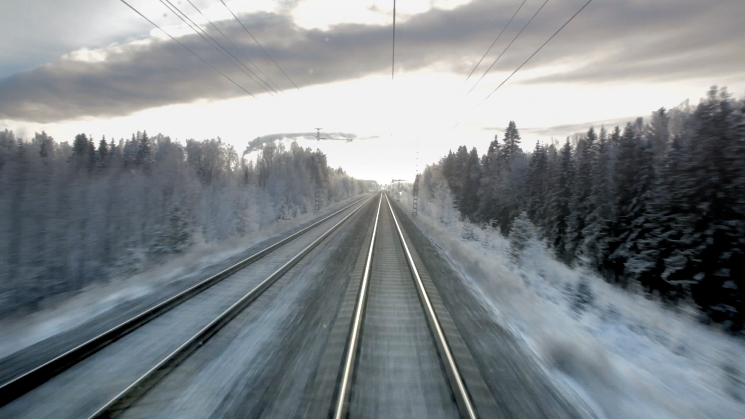 Tabula Rasa ● Antti Lempiäinen